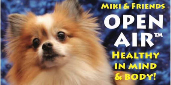 OpenAIR2