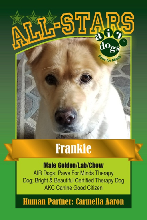 Frankieaircardx500