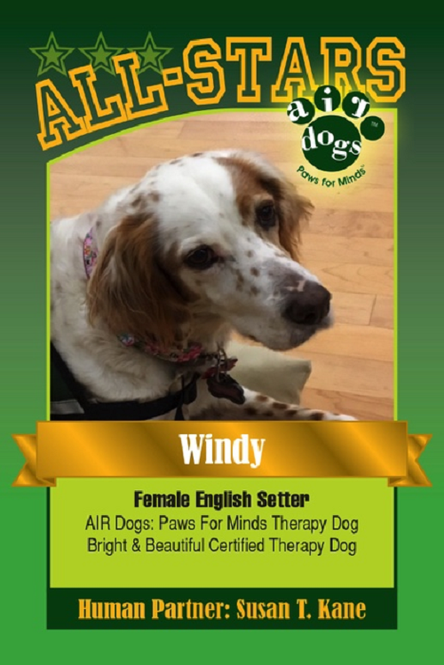 windyaircard500w