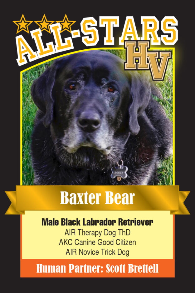 BaxterBear-HVdog-1