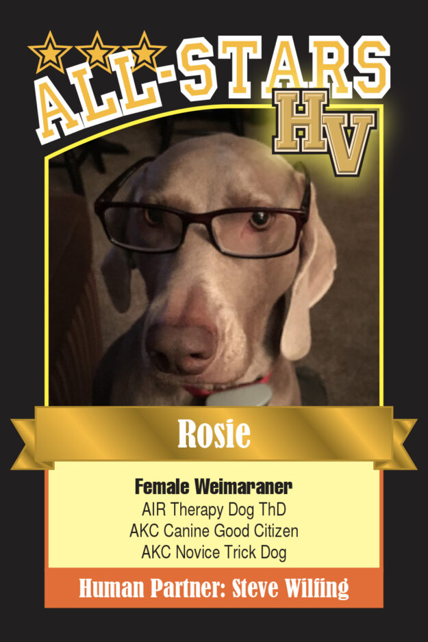 Rosie-HVdog-1