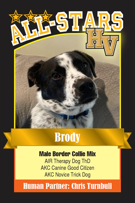 Brody-HVdog-1