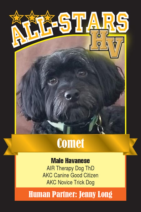 Comet-HVdog-1