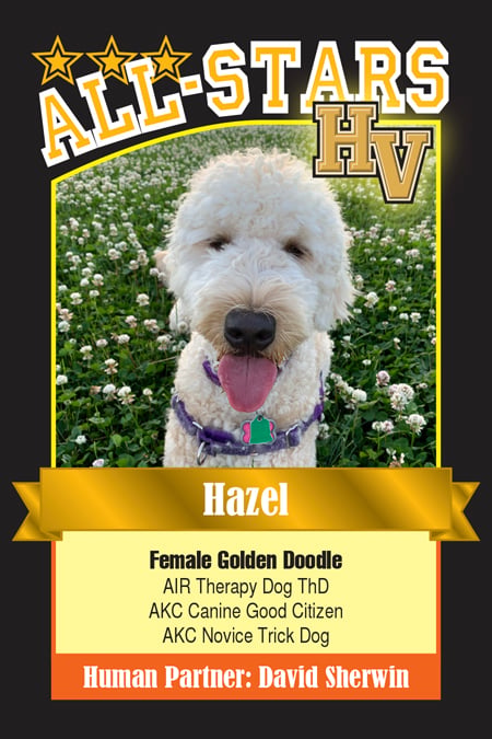 Hazel-HVdog-1