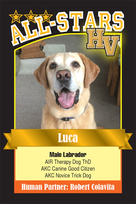 Luca-HVdog-1