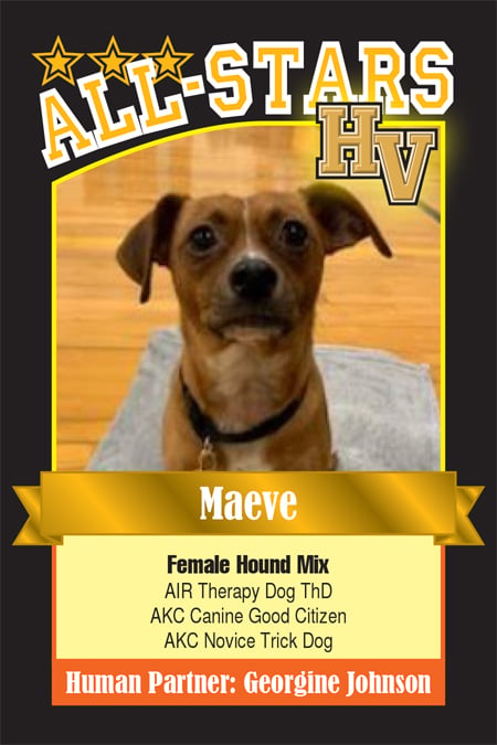 Maeve-HVdog-1