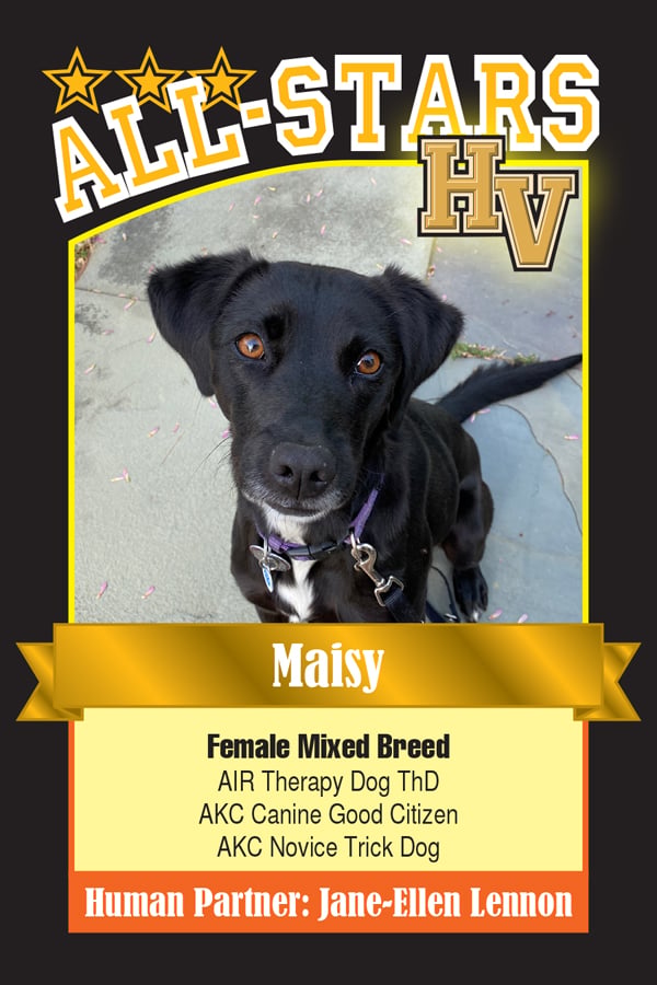 Maisy-HVdog-1