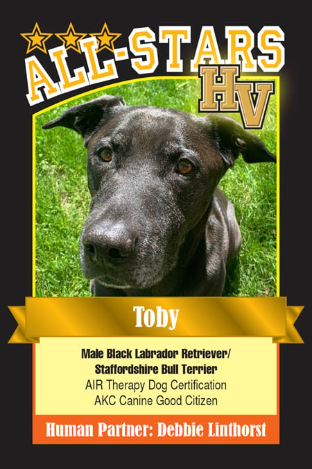 Toby-HVdog-1