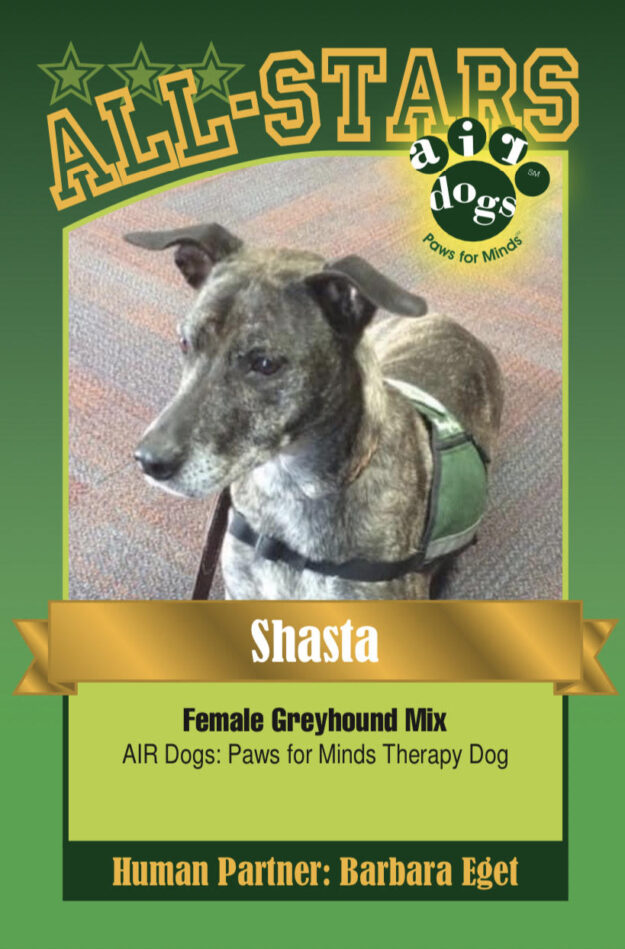 Shasta