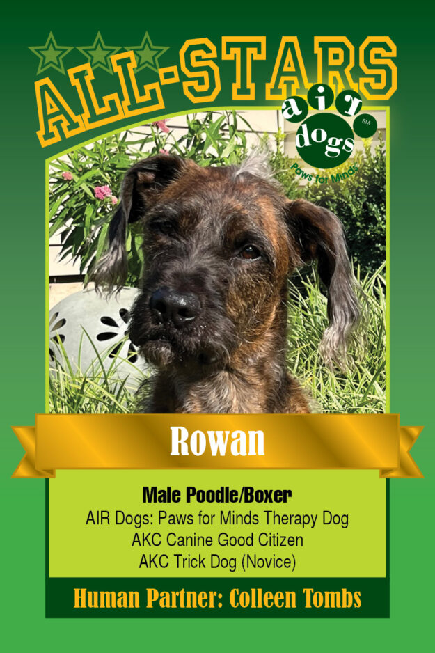 Rowan-AIRDog