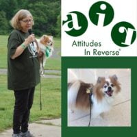 Attitudes In Reverse® Reinforces its Mission to Address Increasing Mental Health Challenges among Youth
